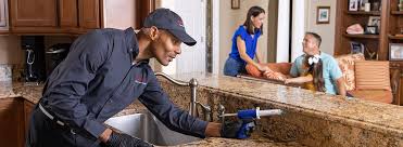 Best Real Estate Pest Inspections  in Bridgeport, OH